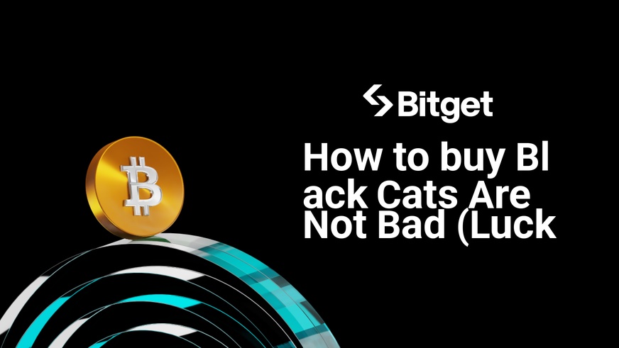 Wie man Black Cats Are Not Bad kauft